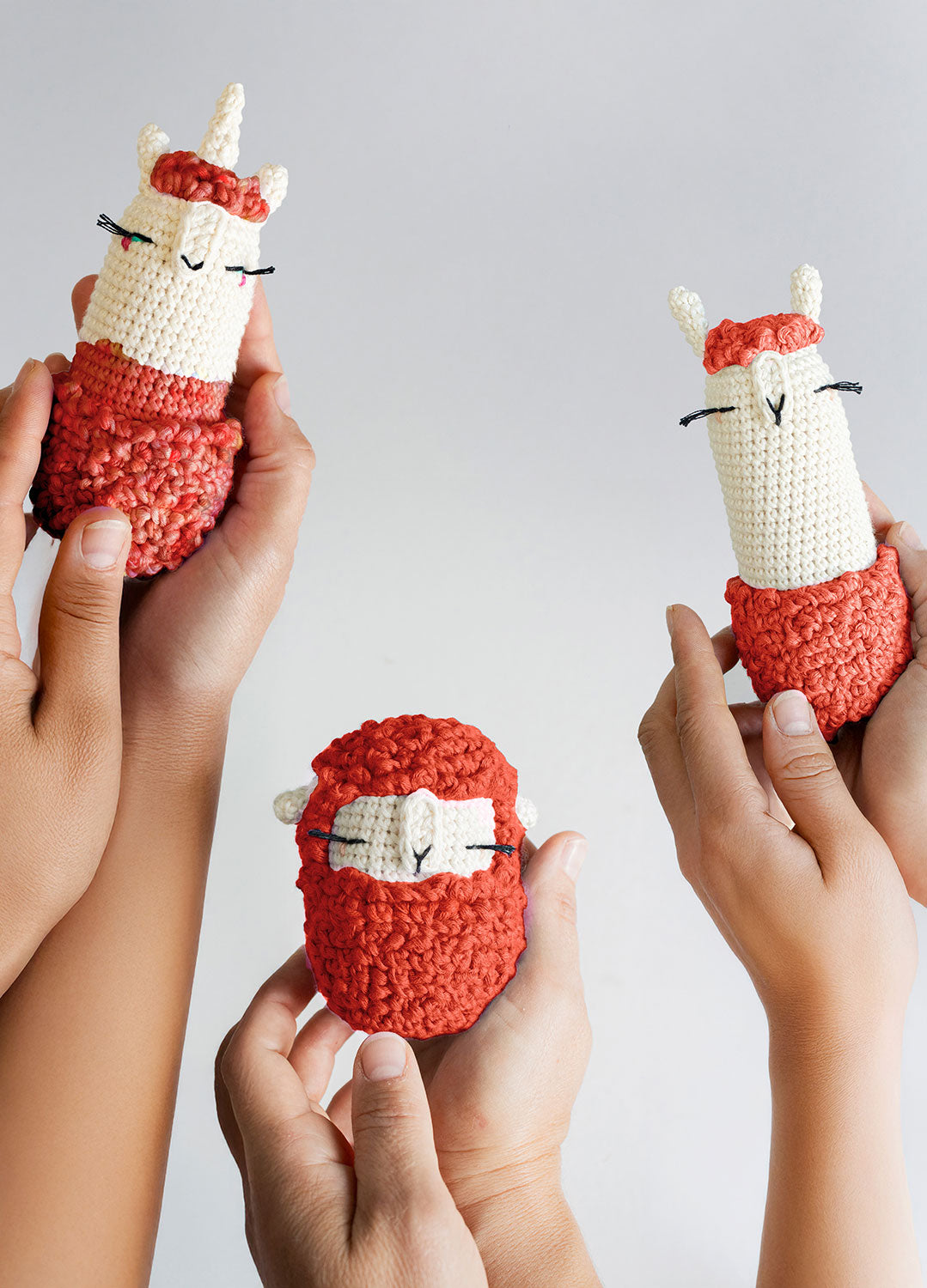 Amigurumis by @lalylaland Bundle Kit - Pre Order