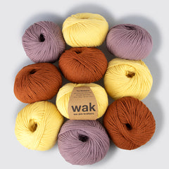 Zestaw 10 Motków Meripaca Yarn