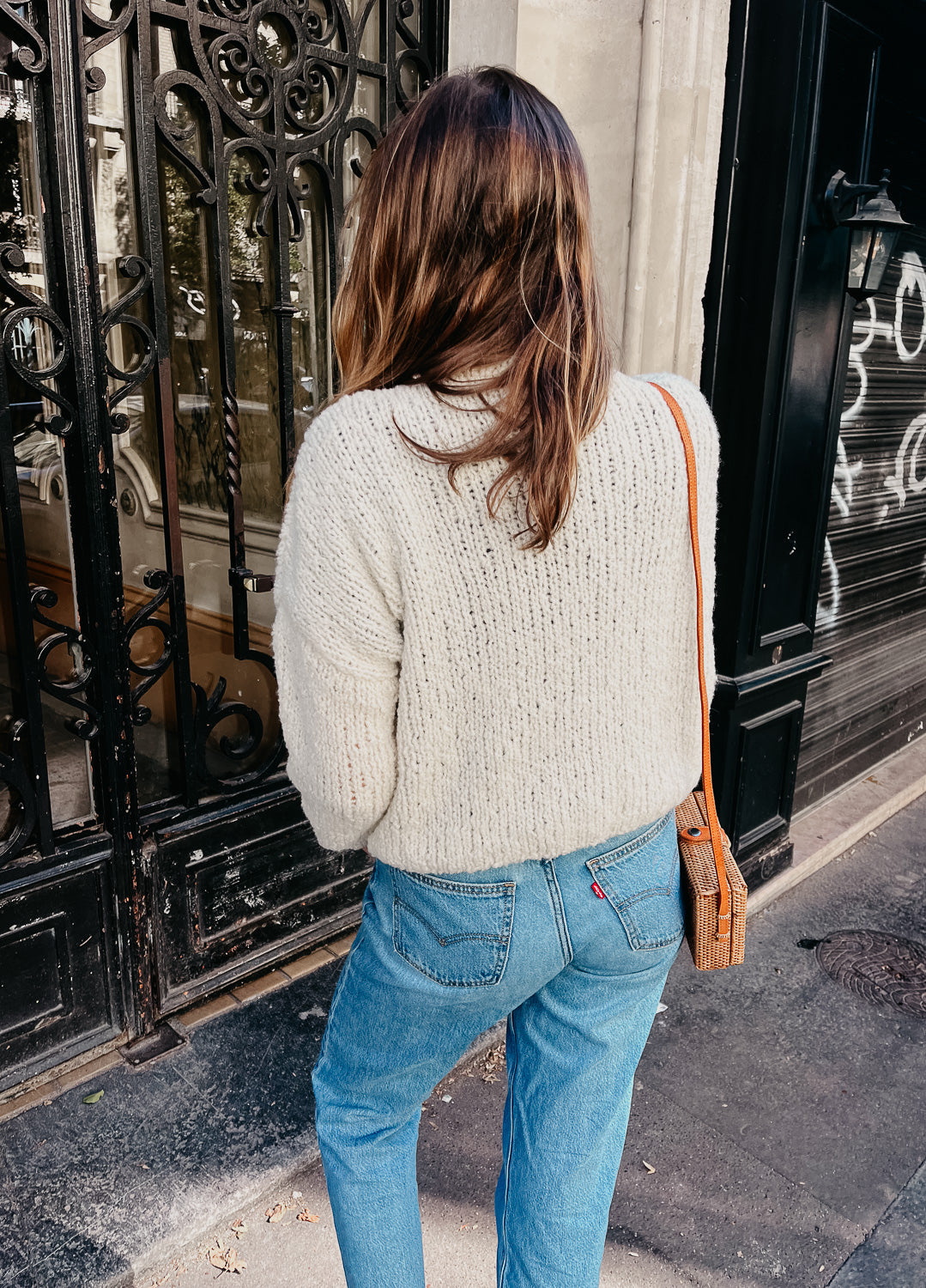 Carrot Sweater Kit
